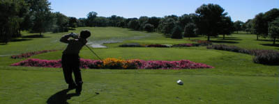 Market to the Golfing Industry